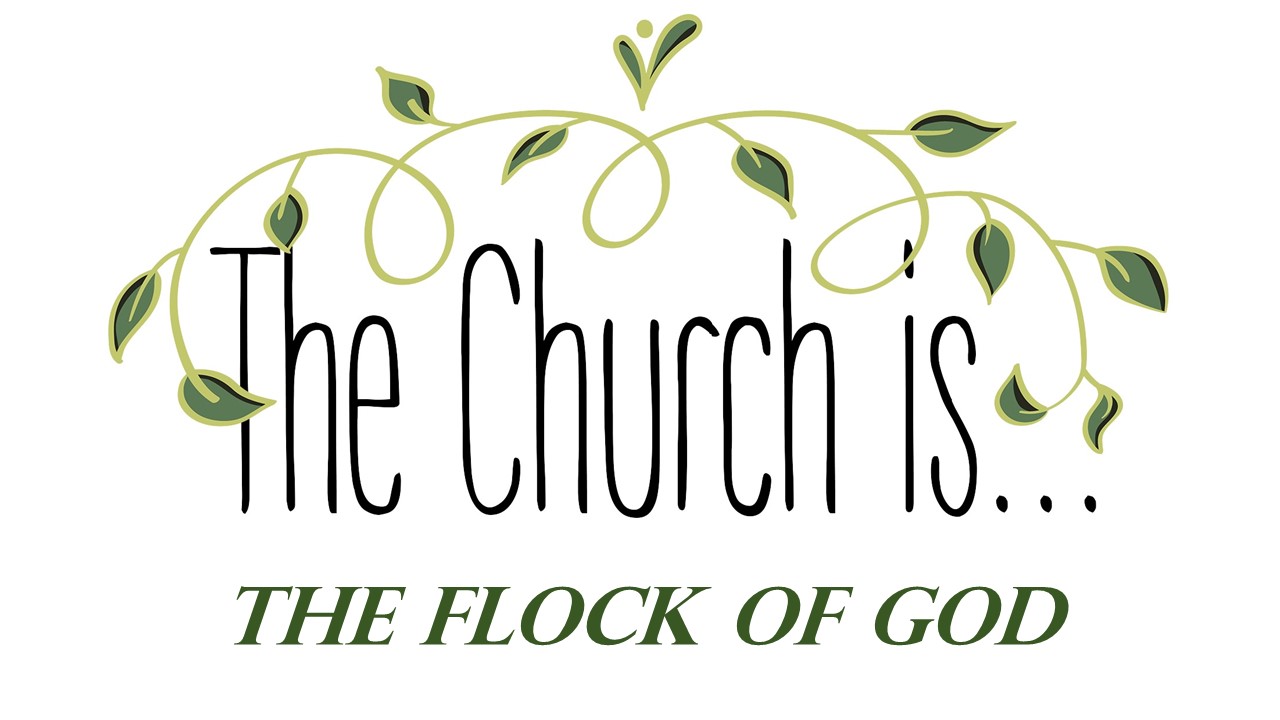 Church Is…The Flock of God